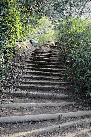 Shimizu-koen