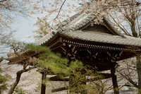 Japan Shrines and Parks