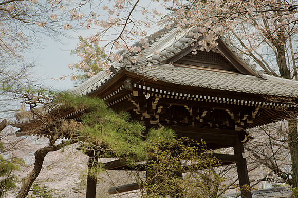 Japan Shrines and Parks