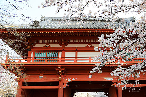 Shimizu Park, Japan
