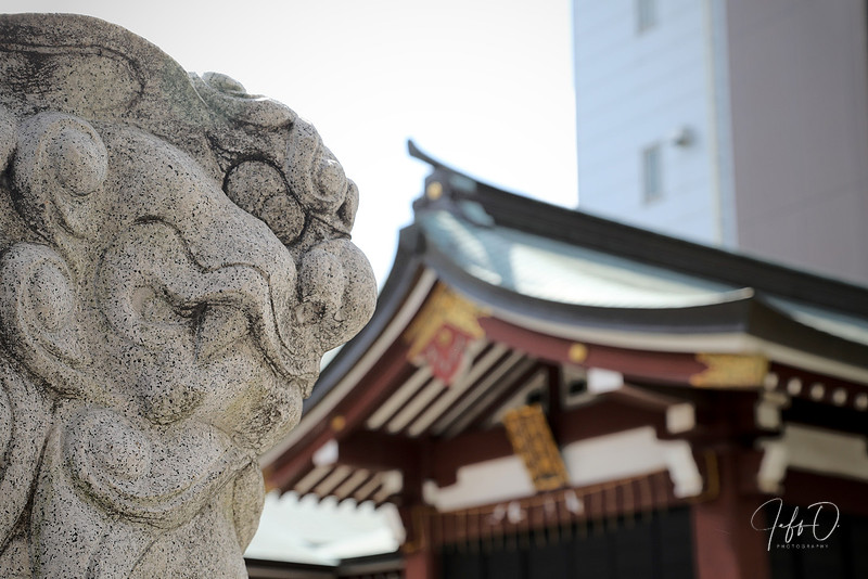 Japan Shrines and Parks