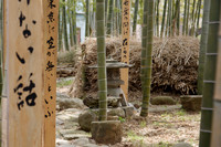 Japan Shrines and Parks