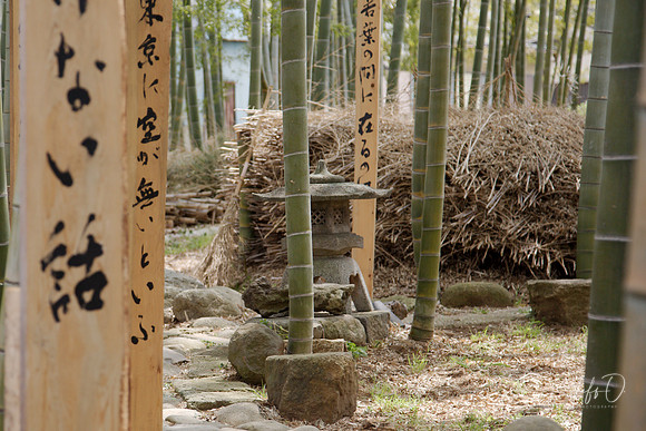 Japan Shrines and Parks