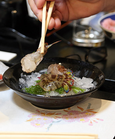 Japanese Food