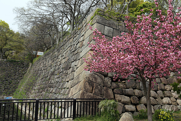 Japan Shrines, Castles and Parks