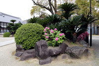 Shrines & Parks, Japan
