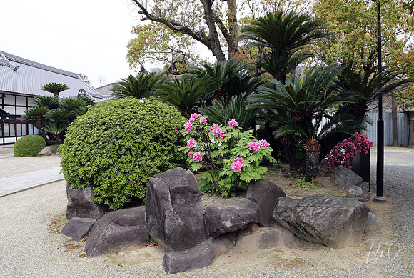 Shrines & Parks, Japan