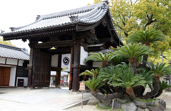 Japan Shrines, Castles and Parks