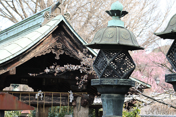 Japan Shrines