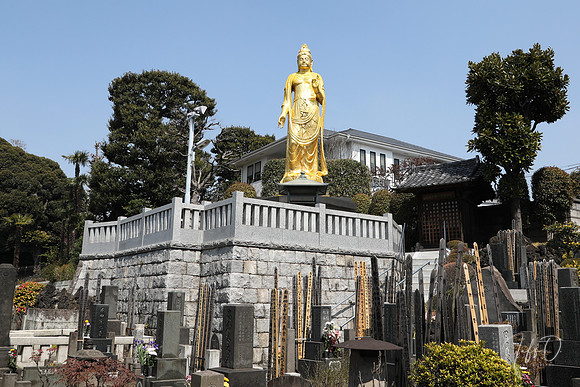 Japan Shrines