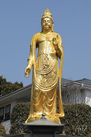 Japan Shrines