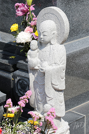 Japan Shrines