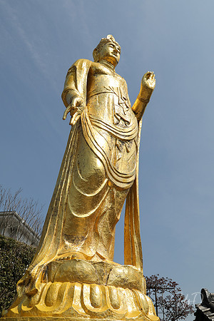 Japan Shrines