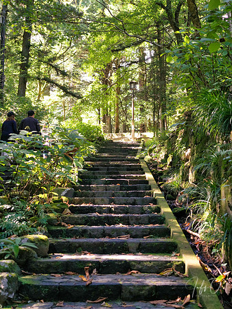Nikko Toshogu Shrine (日光東照宮), Japan