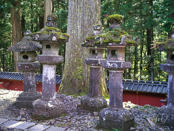 Nikko Toshogu Shrine (日光東照宮), Japan