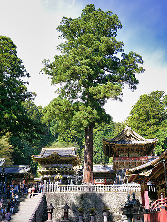 Nikko Toshogu Shrine (日光東照宮), Japan