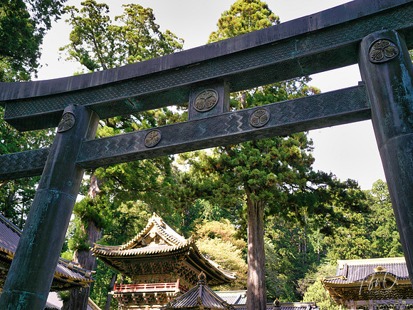 Nikko Toshogu Shrine (日光東照宮), Japan