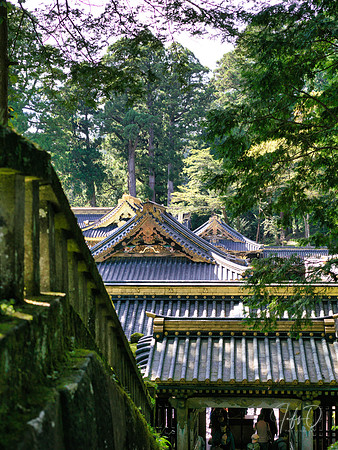 Nikko Toshogu Shrine (日光東照宮), Japan