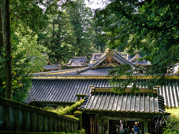 Nikko Toshogu Shrine (日光東照宮), Japan