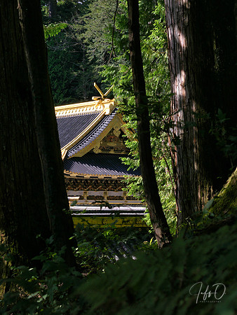 Nikko Toshogu Shrine (日光東照宮), Japan