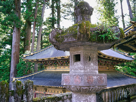 Nikko Toshogu Shrine (日光東照宮), Japan