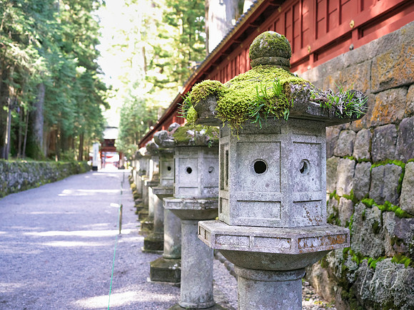 Nikko Toshogu Shrine (日光東照宮), Japan