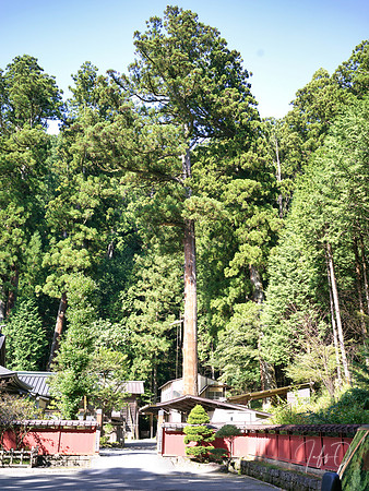 Nikko Toshogu Shrine (日光東照宮), Japan
