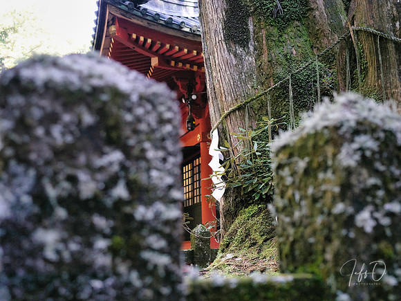 Nikko Toshogu Shrine (日光東照宮), Japan