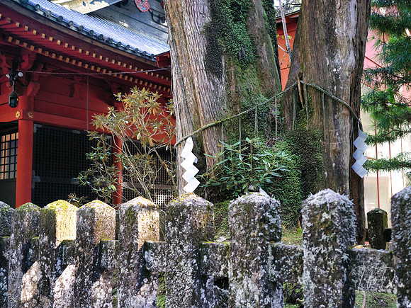 Nikko Toshogu Shrine (日光東照宮), Japan
