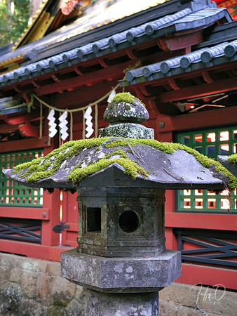 Nikko Toshogu Shrine (日光東照宮), Japan