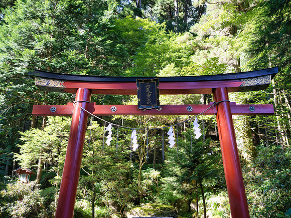 Nikko Toshogu Shrine (日光東照宮), Japan