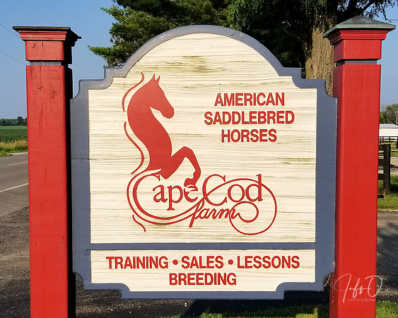 CCEC Horse Show & Open House Facility