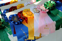 CCEC Horse Show & Open House Facility