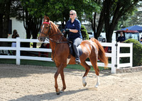 6/24/2018 CCEC Horse Show & Open House | Sunday Early Morning Classes