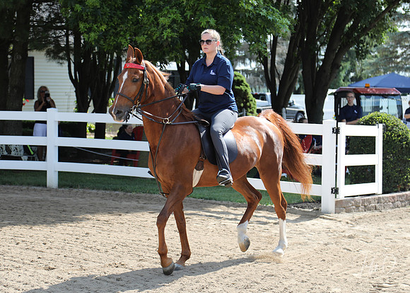 6/24/2018 CCEC Horse Show & Open House | Sunday Early Morning Classes