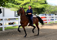 6/24/2018 CCEC Horse Show & Open House | Sunday Early Morning Classes