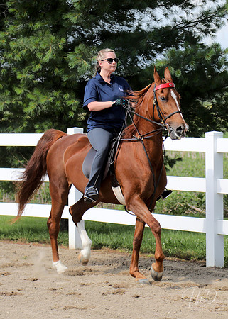 6/24/2018 CCEC Horse Show & Open House | Sunday Early Morning Classes
