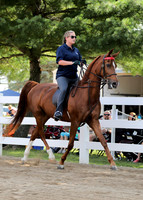 6/24/2018 CCEC Horse Show & Open House | Sunday Early Morning Classes