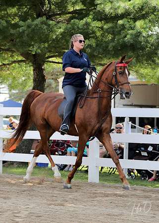 6/24/2018 CCEC Horse Show & Open House | Sunday Early Morning Classes