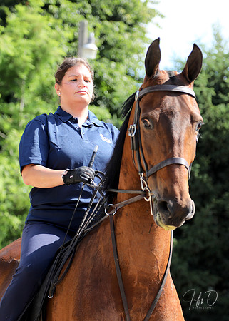 6/24/2018 CCEC Horse Show & Open House | Sunday Early Morning Classes
