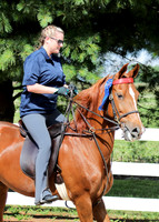 6/24/2018 CCEC Horse Show & Open House | Sunday Early Morning Classes