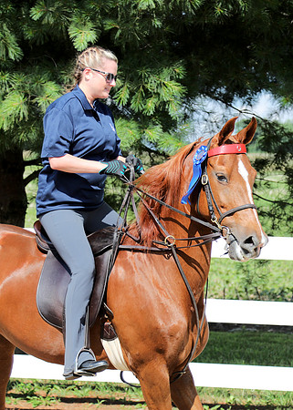6/24/2018 CCEC Horse Show & Open House | Sunday Early Morning Classes