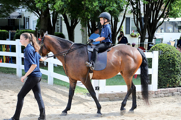 6/24/2018 CCEC Horse Show & Open House | Sunday Early Morning Classes
