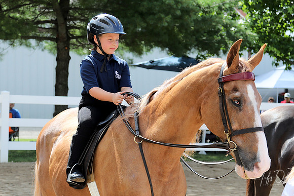6/24/2018 CCEC Horse Show & Open House | Sunday Early Morning Classes