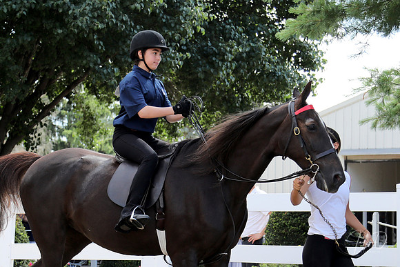 6/24/2018 CCEC Horse Show & Open House | Sunday Early Morning Classes