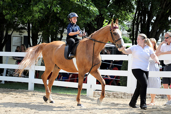 6/24/2018 CCEC Horse Show & Open House | Sunday Early Morning Classes