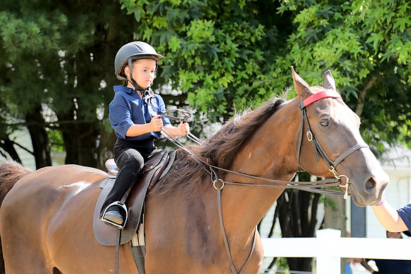 6/24/2018 CCEC Horse Show & Open House | Sunday Early Morning Classes