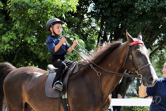 6/24/2018 CCEC Horse Show & Open House | Sunday Early Morning Classes