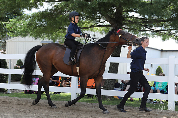 6/24/2018 CCEC Horse Show & Open House | Sunday Early Morning Classes
