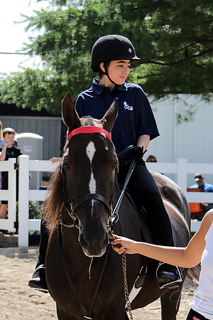 6/24/2018 CCEC Horse Show & Open House | Sunday Early Morning Classes
